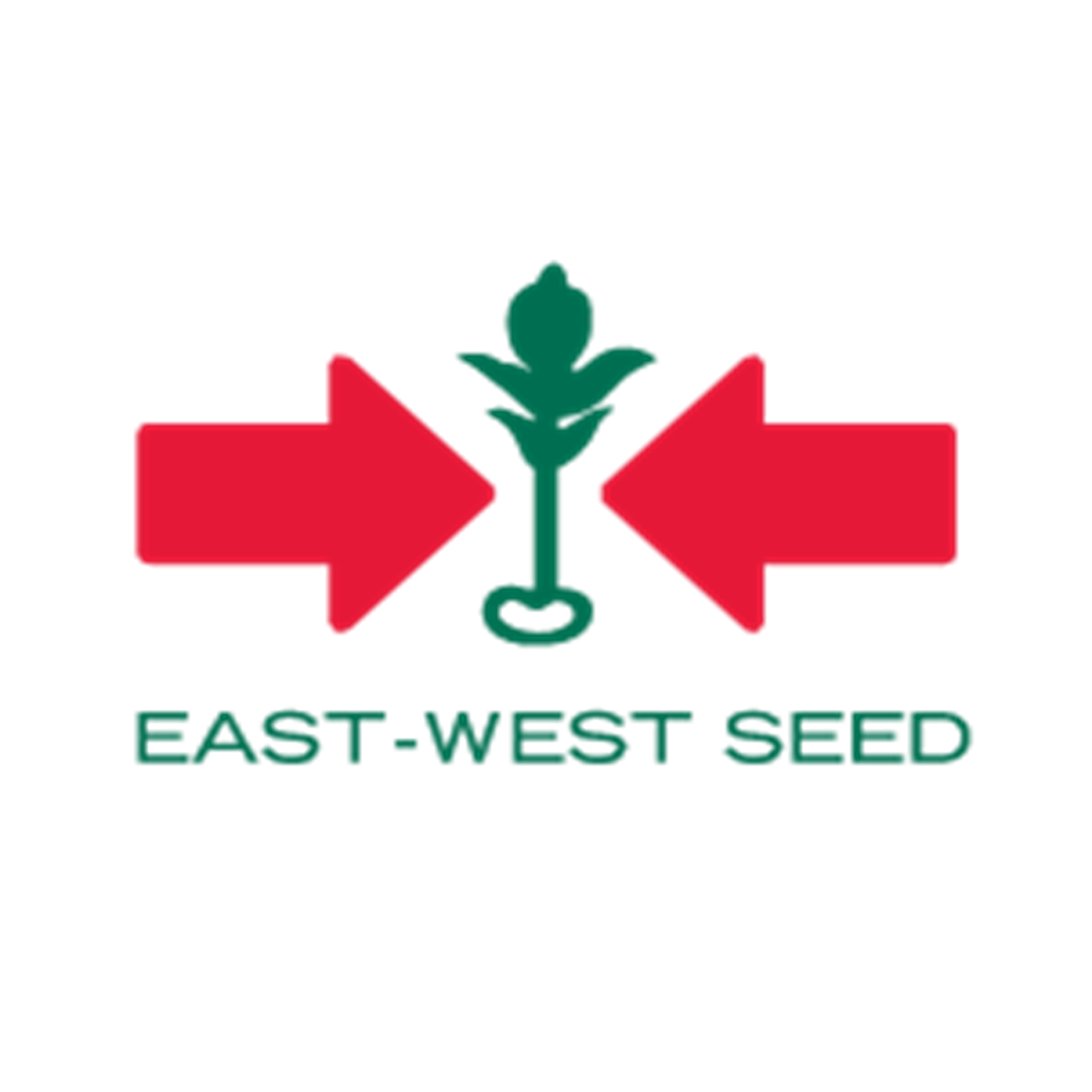 PT. East West Seed Indonesia Cab. Pontianak